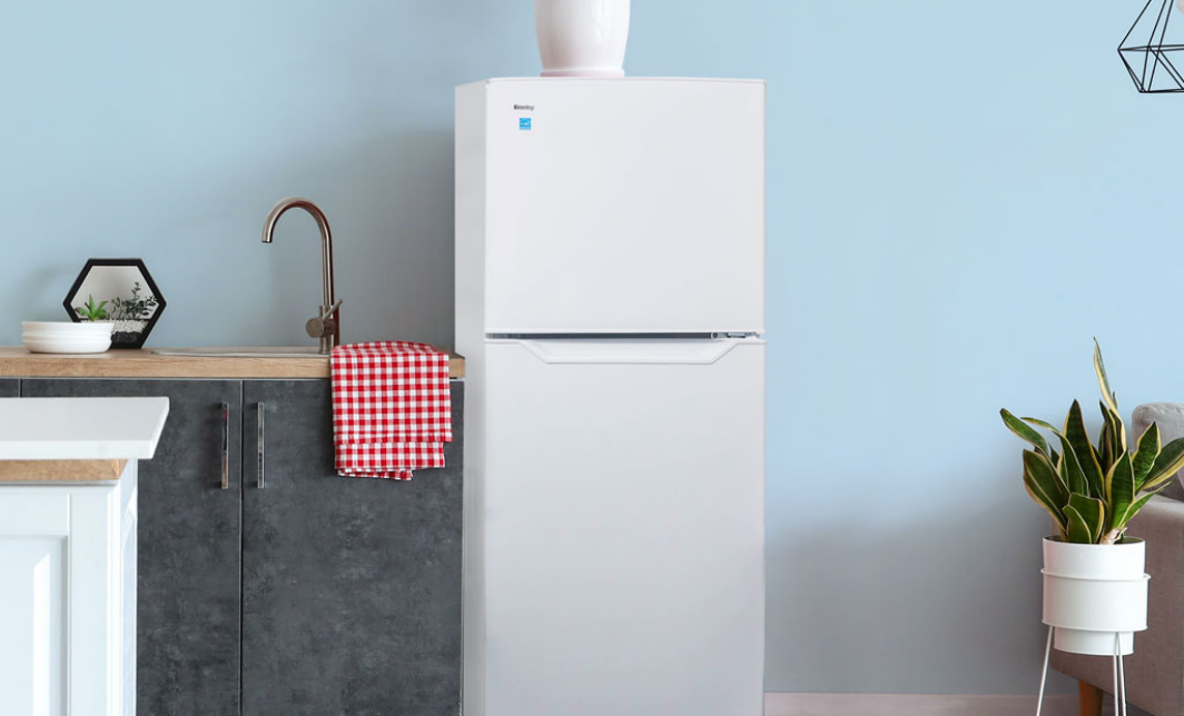 Danby Dff116B2Ssdbr 11.6 Cf 2-Door Auto-Defrost Refrigerator